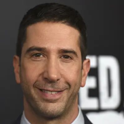 David Schwimmer Net Worth