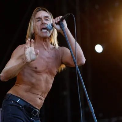 Iggy Pop Net Worth