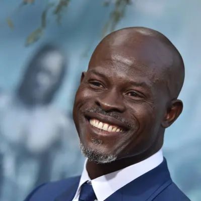 Djimon Hounsou Net Worth