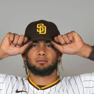 Fernando Tatis Jr. Net Worth