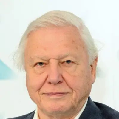 David Attenborough Net Worth