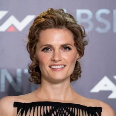 Stana Katic Net Worth