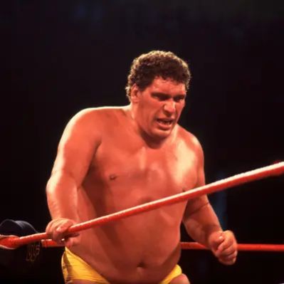 Andre The Giant Net Worth