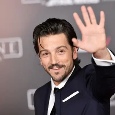 Diego Luna Net Worth