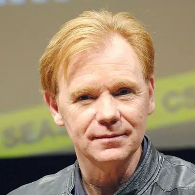 David Caruso Net Worth