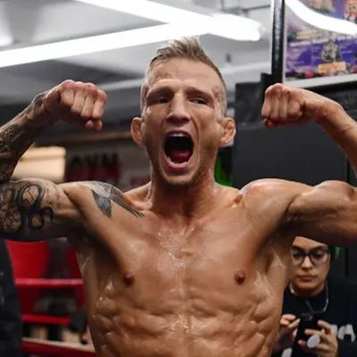 T.J. Dillashaw Net Worth