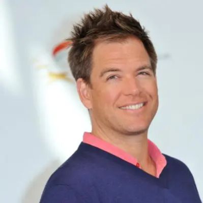 Michael Weatherly Net Worth